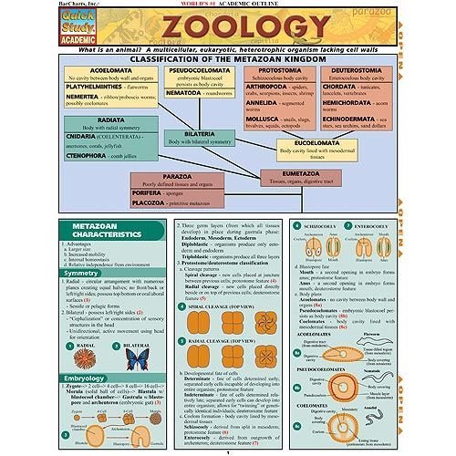 Zoology-Charts.jpg